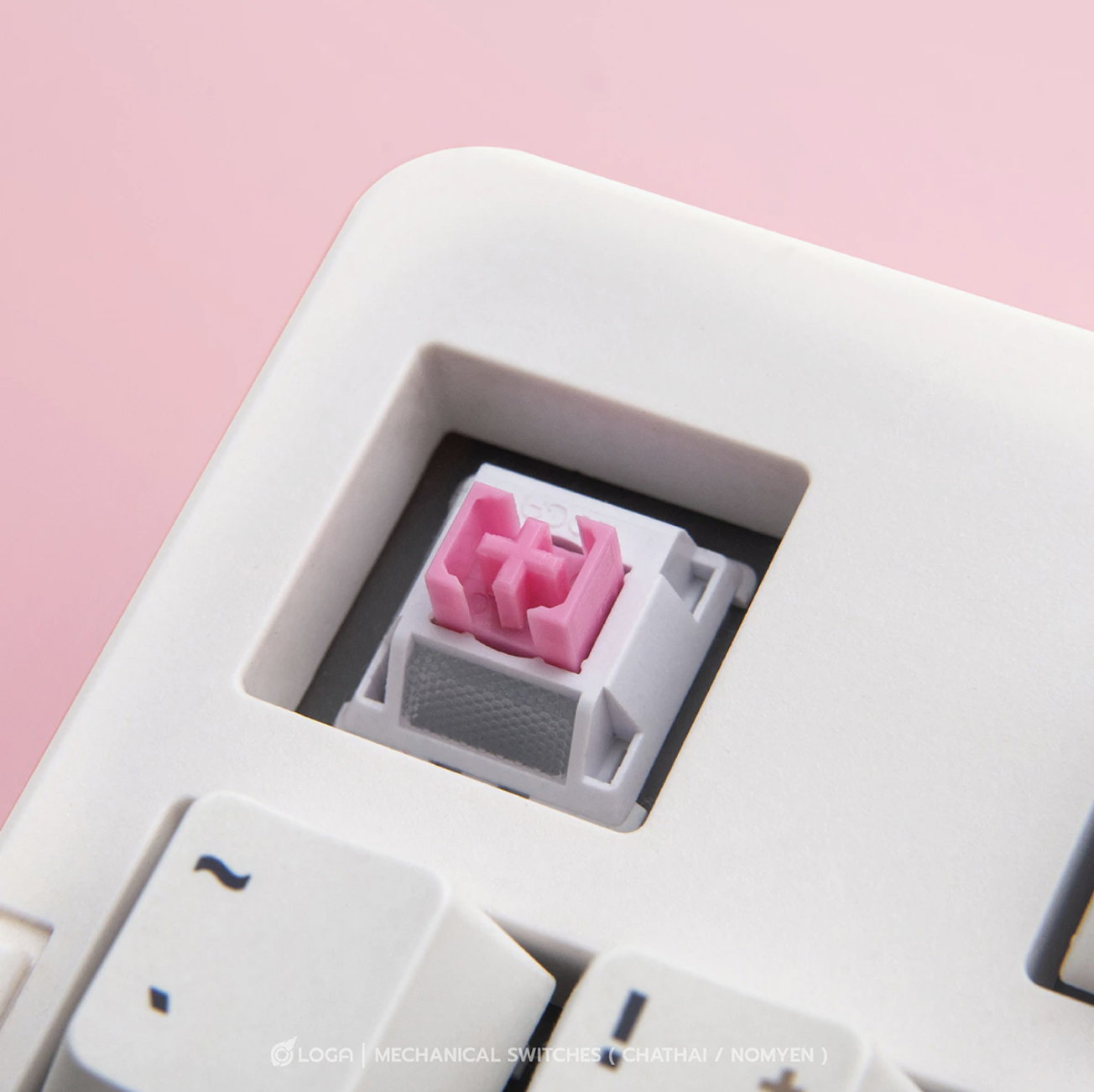 รวมมิตร Keyboard Switches แบรนด์ LOGA ของดีจากแบรนด์ไทยที่สายคัสตอมต้องลอง!