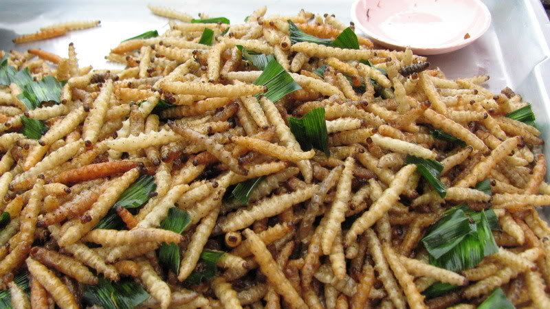 แมลงทอดอร่อยกว่าที่คิด! กรอบ มัน เค็มนิด ๆ ฟินแบบคาดไม่ถึง