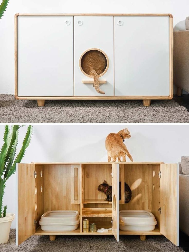 ห้องน้ำแมว: เรื่องเล็กที่จริง ๆ แล้วสำคัญไม่แพ้เรื่องใหญ่