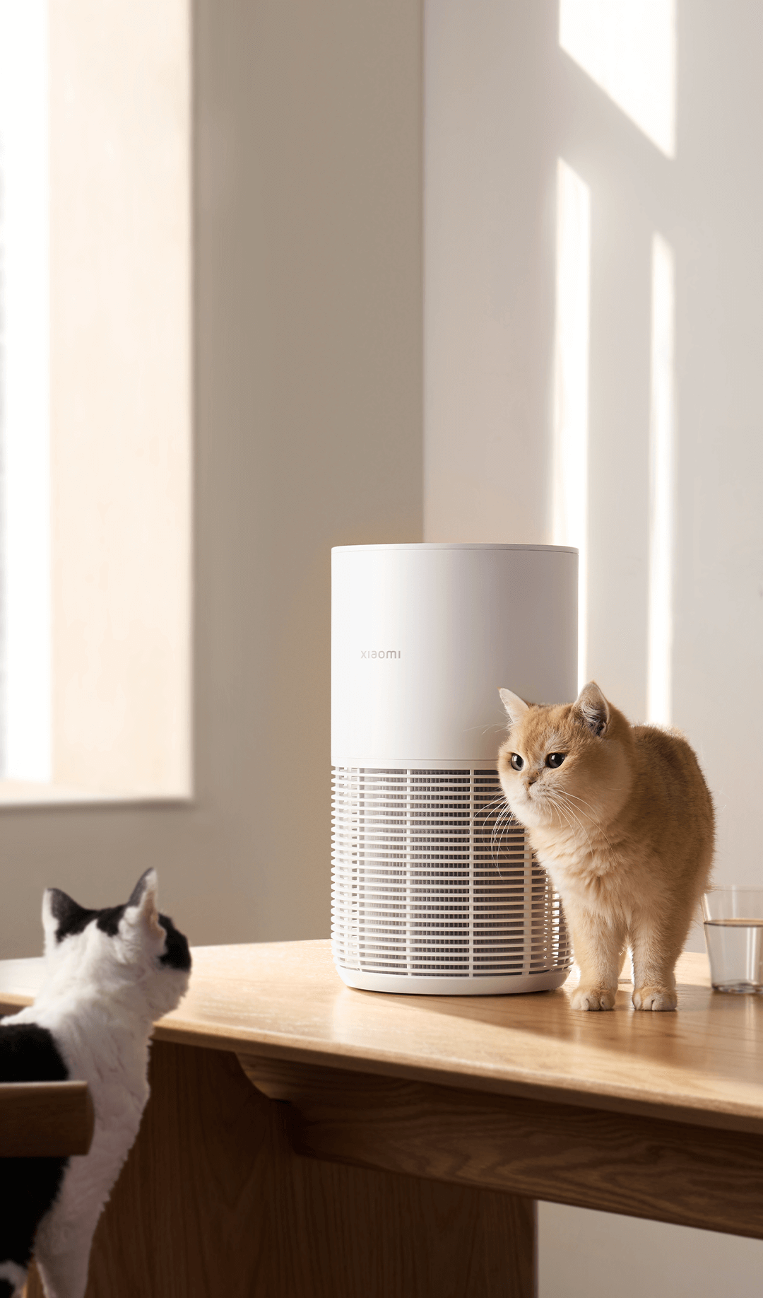 เครื่องฟอกอากาศ Xiaomi เพื่อสัตว์เลี้ยง: ข้อดีสำคัญของ "บอดี้การ์ดล่องหน" ที่ปกป้องทั้งคุณและลูกขนปุย