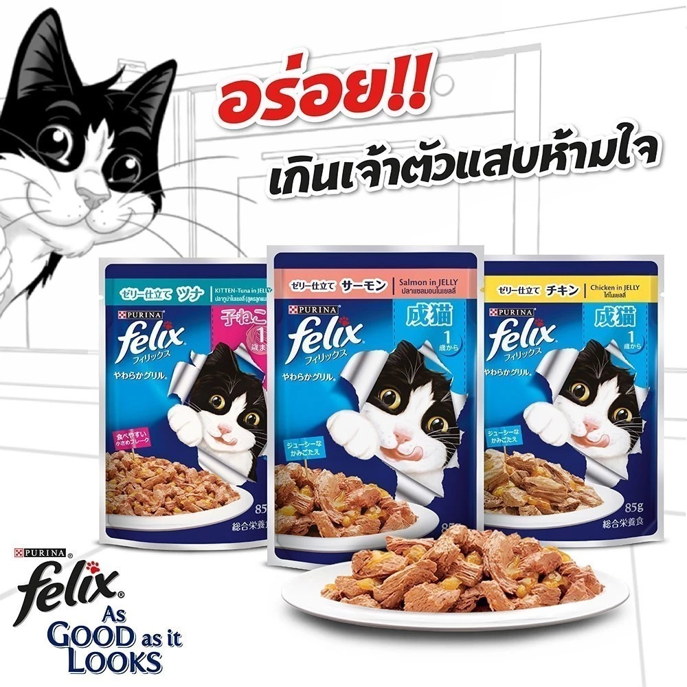 อาหารแมว แนะนำ สำหรับทาสมือใหม่