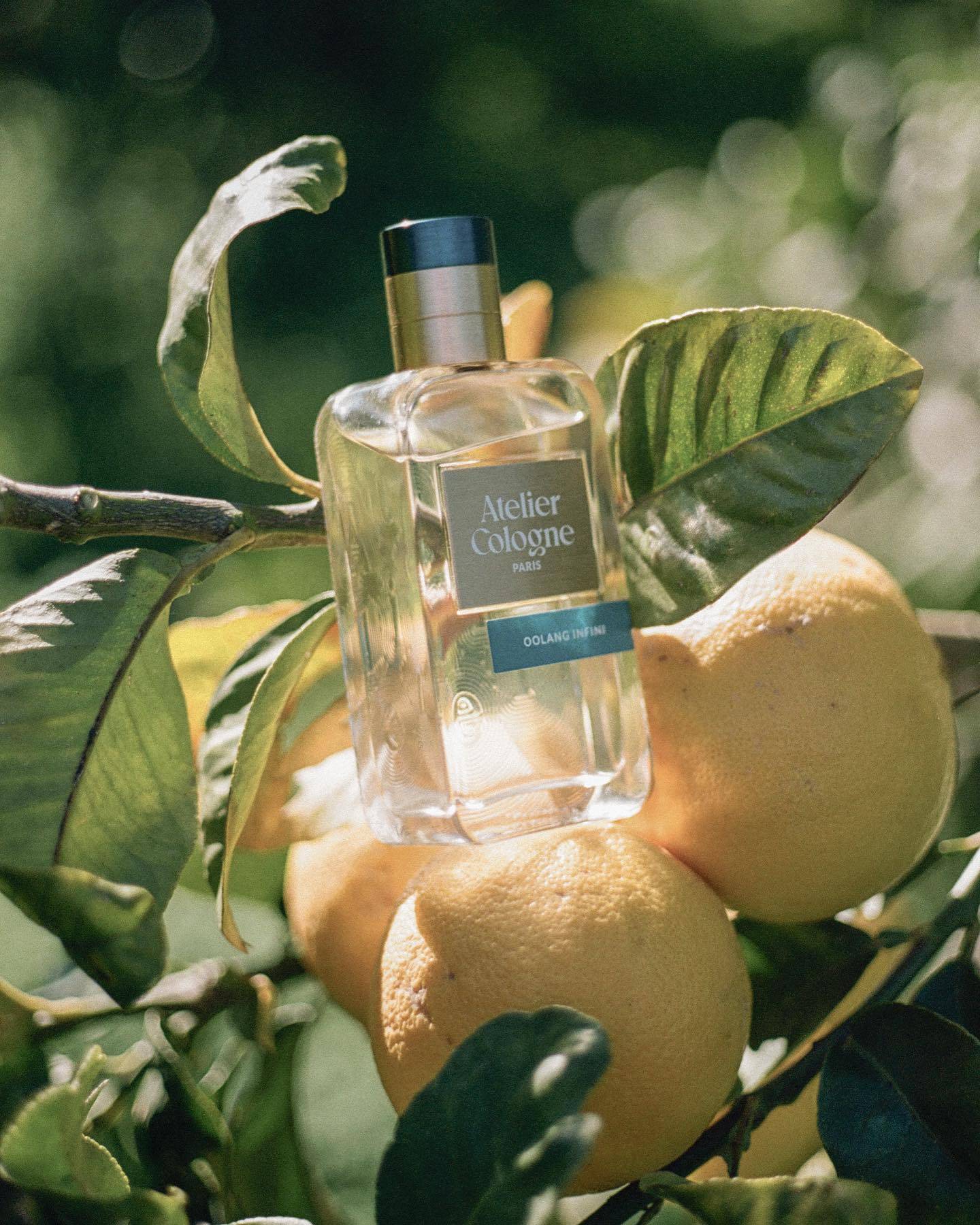 เรื่องราวน้ำหอม 6|Atelier Cologne: การเดินทางแห่งนวัตกรรมทางศิลปะในโคโลญจน์อันประณีต