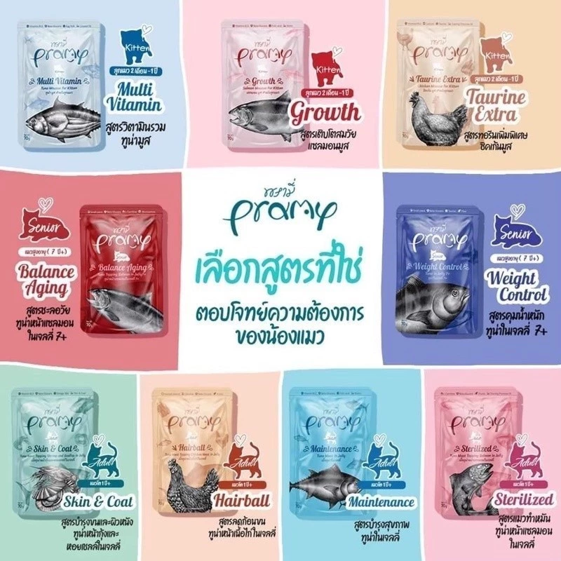 อาหารแมว แนะนำ สำหรับทาสมือใหม่