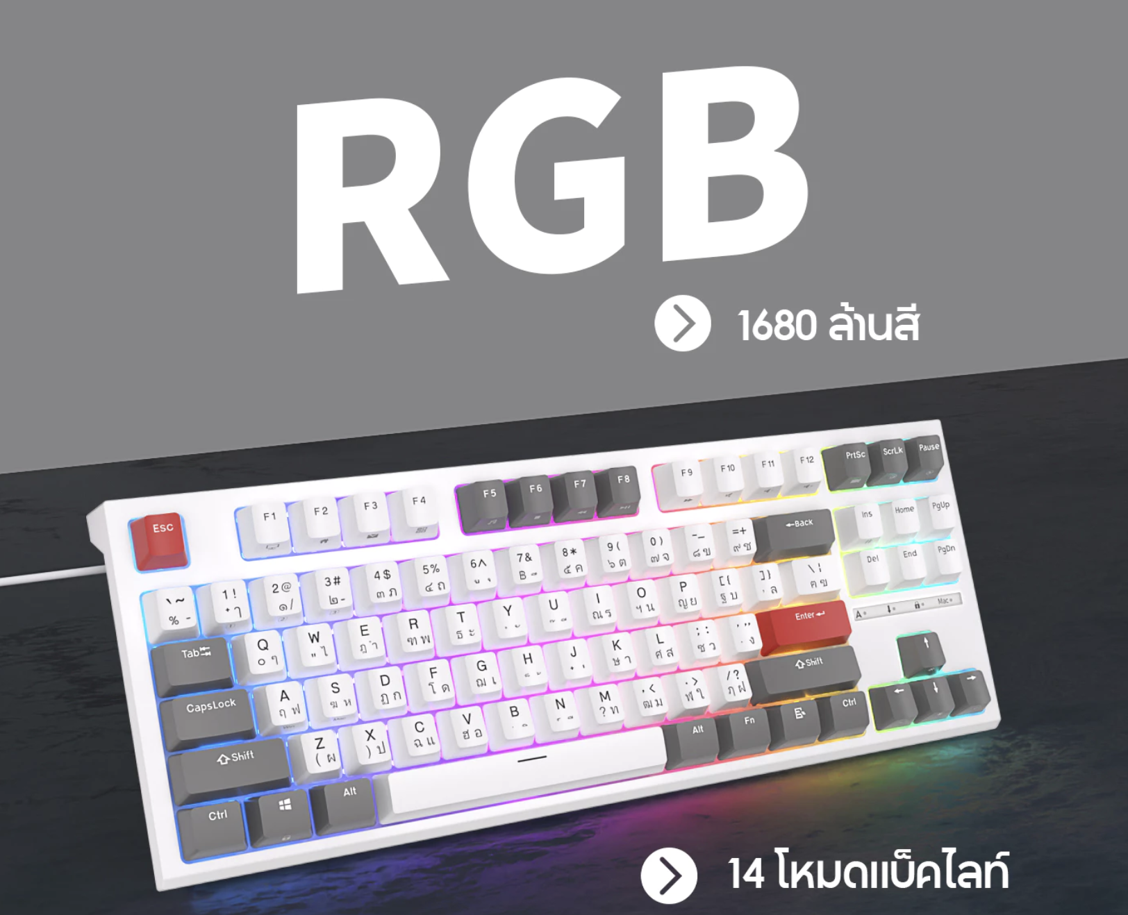 Royal Kludge RK R87 – คีย์บอร์ดเล่นเกม TKL ที่ “เล็กแต่โหด” คุ้มค่าสำหรับสายเกมและพิมพ์งาน