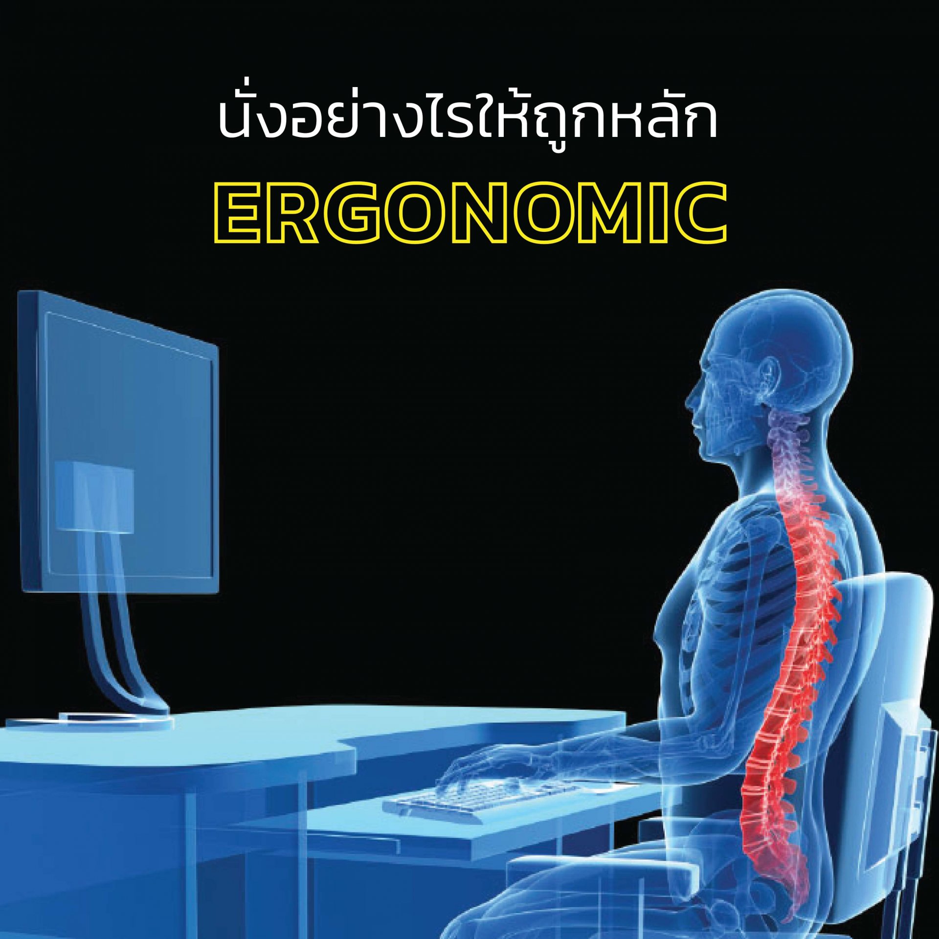 ที่รองหลัง เบาะรองเอว เบาะรองนั่งเพื่อสุขภาพ
