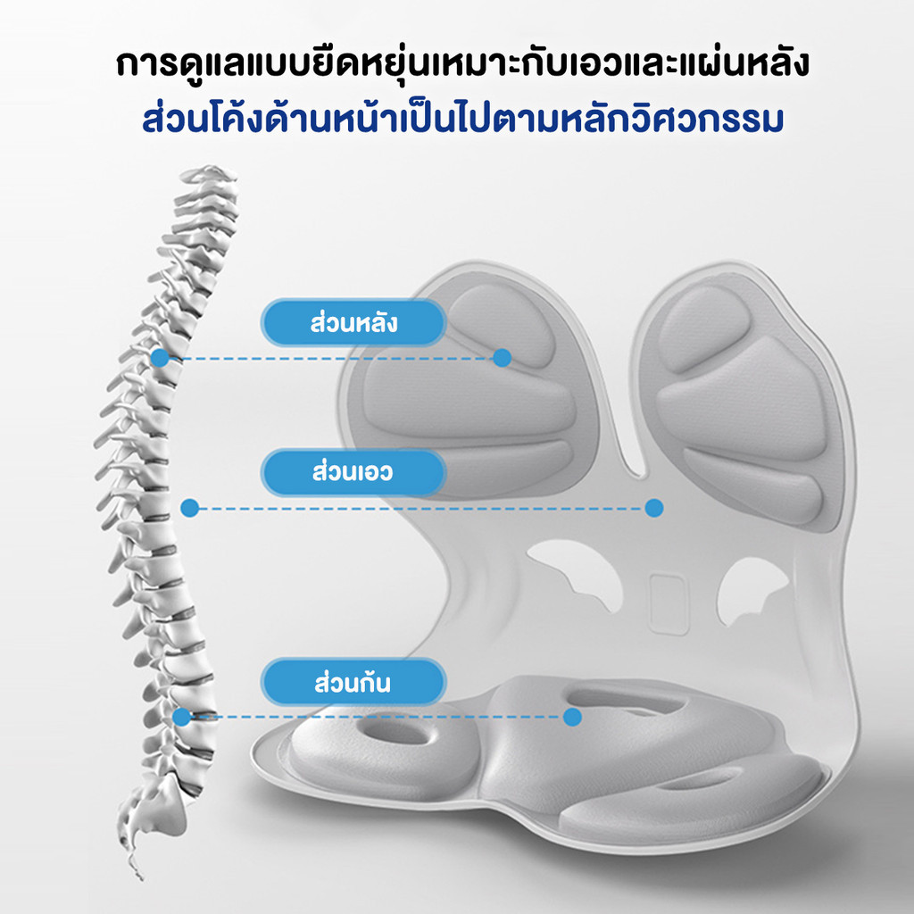 ที่รองหลัง เบาะรองเอว เบาะรองนั่งเพื่อสุขภาพ
