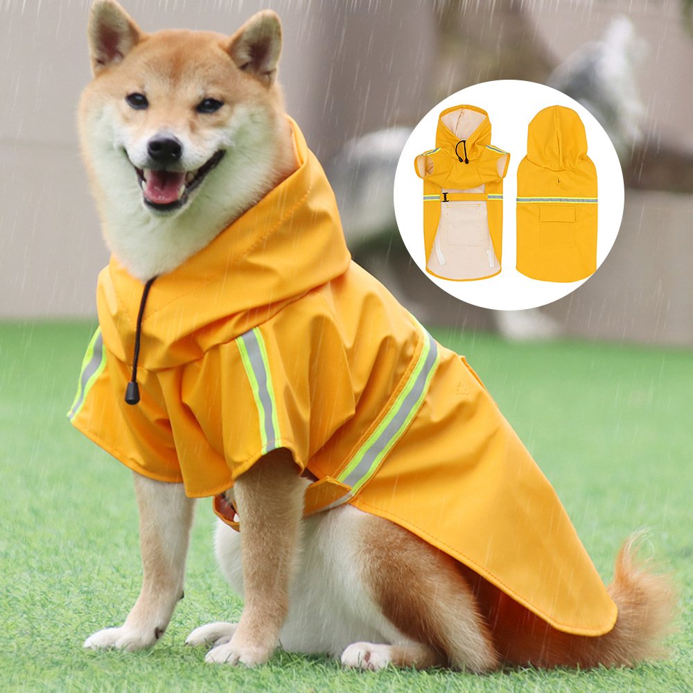 คนพาสุนัขเดินเล่นพบสมบัติ! สัตว์เลี้ยงสามารถสวมเสื้อกันฝนในวันฝนตกได้