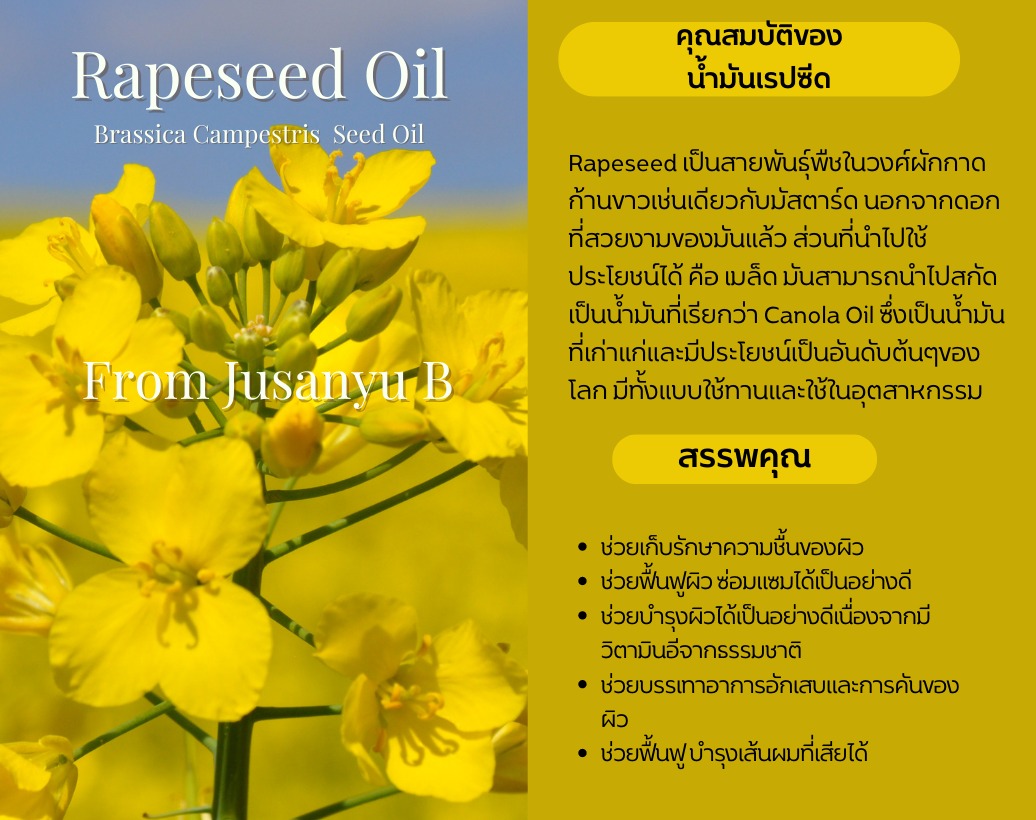 น้ำมันเรพซีด: สารพัดประโยชน์เพื่อสุขภาพในครัว เหมาะสำหรับการทอด ผัด และทุกเมนู!