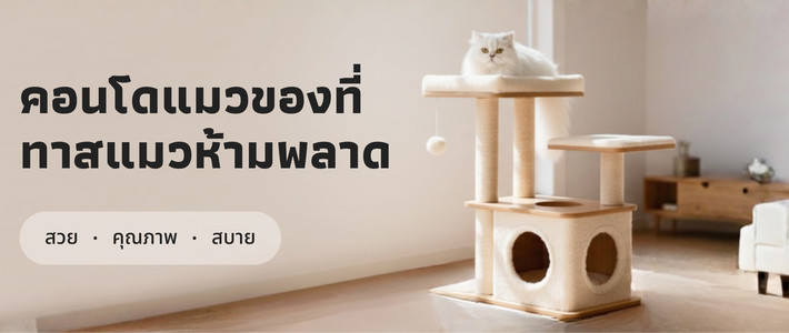 คอนโดแมวของที่ ทาสแมวห้ามพลาด! 🏠 เพราะน้องแมวก็อยากมีมุมโปรดเป็นของตัวเอง