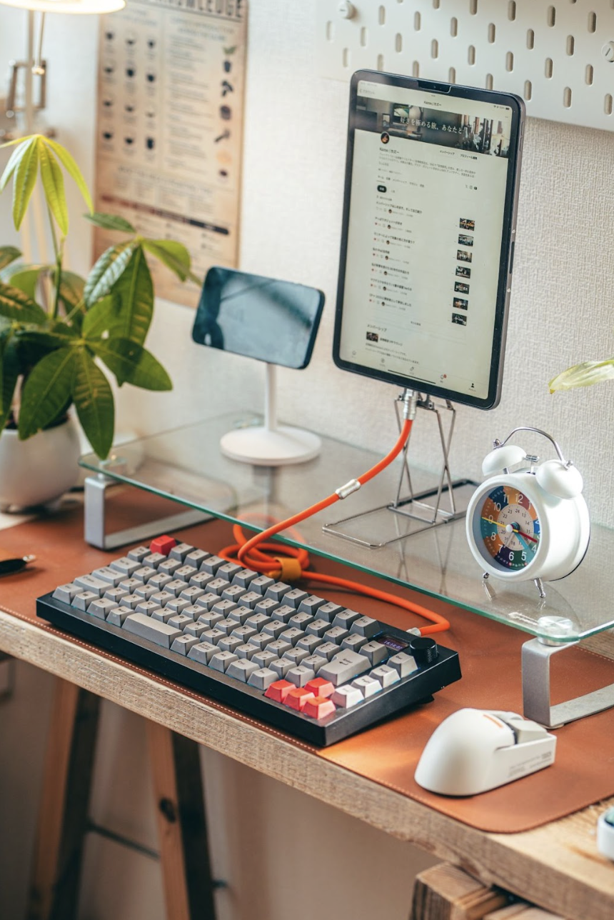 Portable Monitor : จอมอนิเตอร์สำหรับพกพา