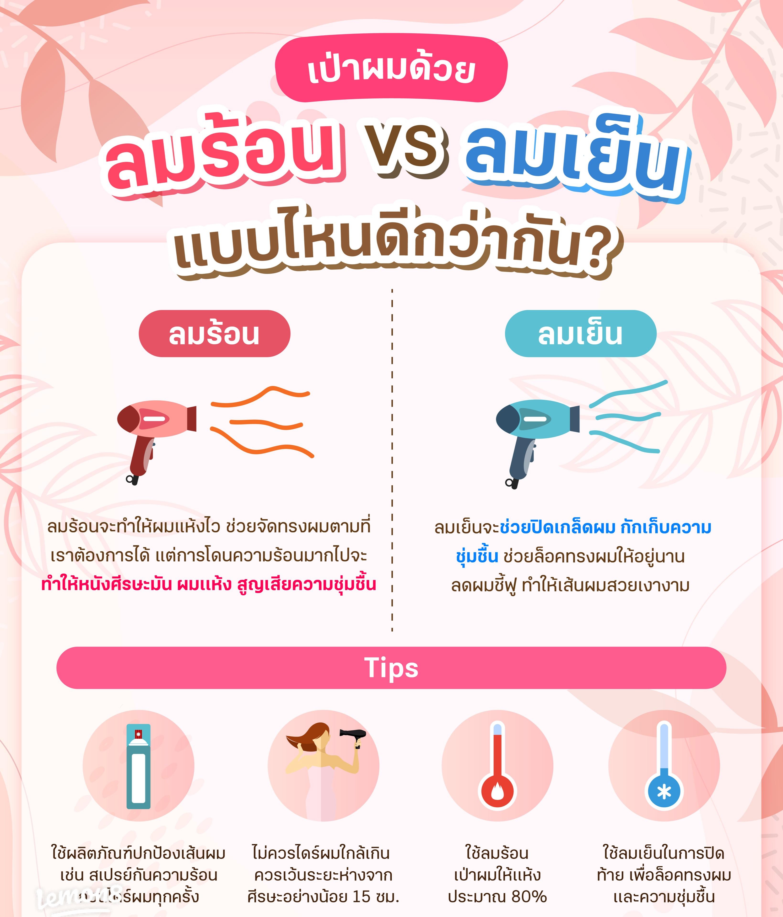 💨 ไดร์เป่าผม ตัวช่วยผมสวย เพราะเส้นผมคือภาพลักษณ์และความมั่นใจ