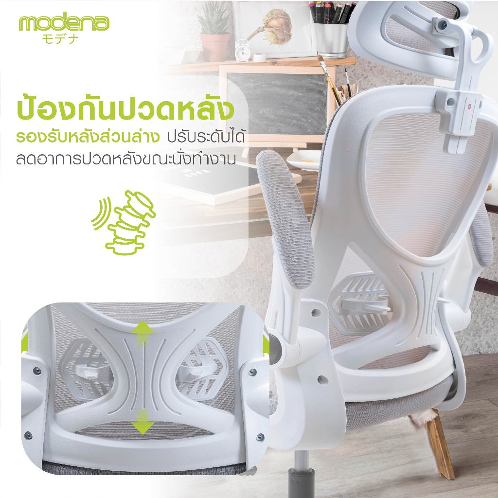 เก้าอี้สุขภาพ ทางเลือกใหม่ของคนยุคทำงานหนัก