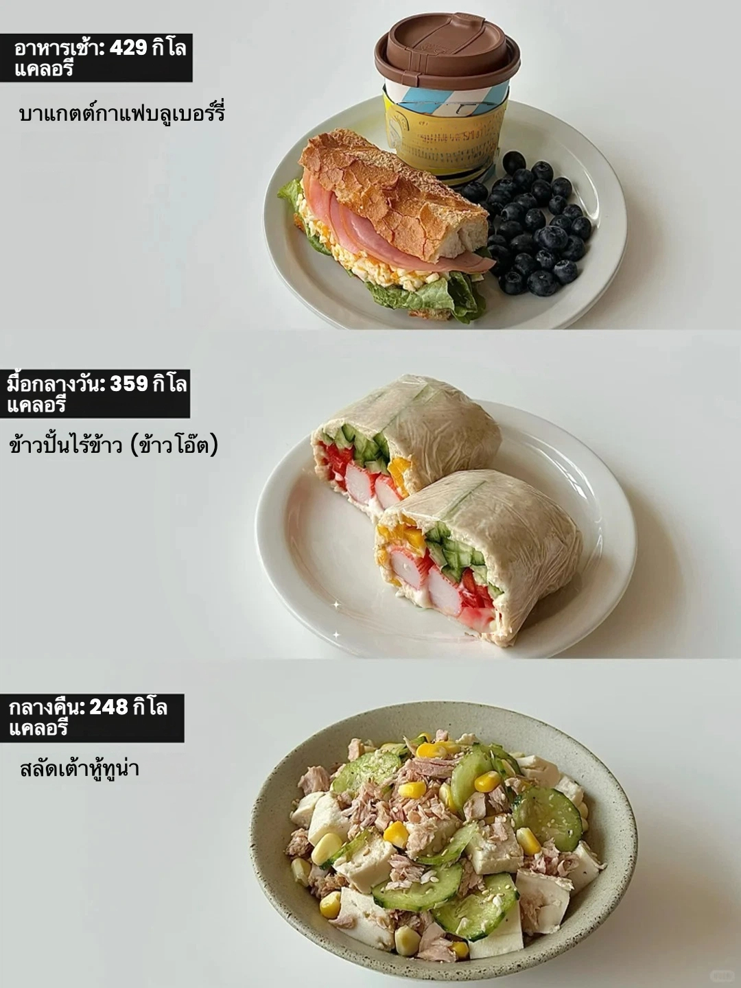 🥗 อาหารแคลต่ำไม่ใช้ไฟ: วันนี้กินอะไรดี?