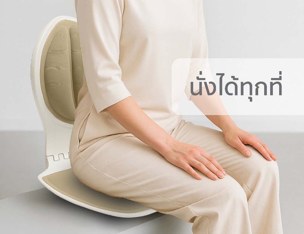 ที่รองหลัง เบาะรองเอว เบาะรองนั่งเพื่อสุขภาพ