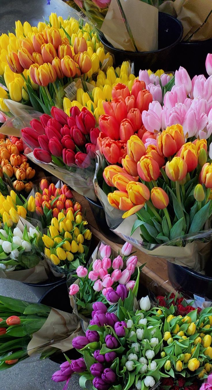 🌷 ความหมายของดอกไม้ยอดนิยม ที่หลายคนไม่เคยรู้