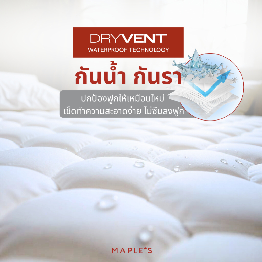 🛏️ ผ้ารองกันเปื้อน กันน้ำ: ไอเท็มเล็ก แต่เปลี่ยนชีวิตการนอน
