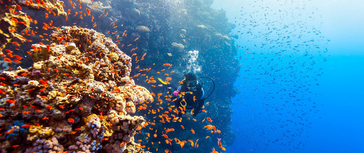 ปี 2025 ได้คัดสรรจุดดำน้ำตื้นมาให้คุณแล้ว🤿