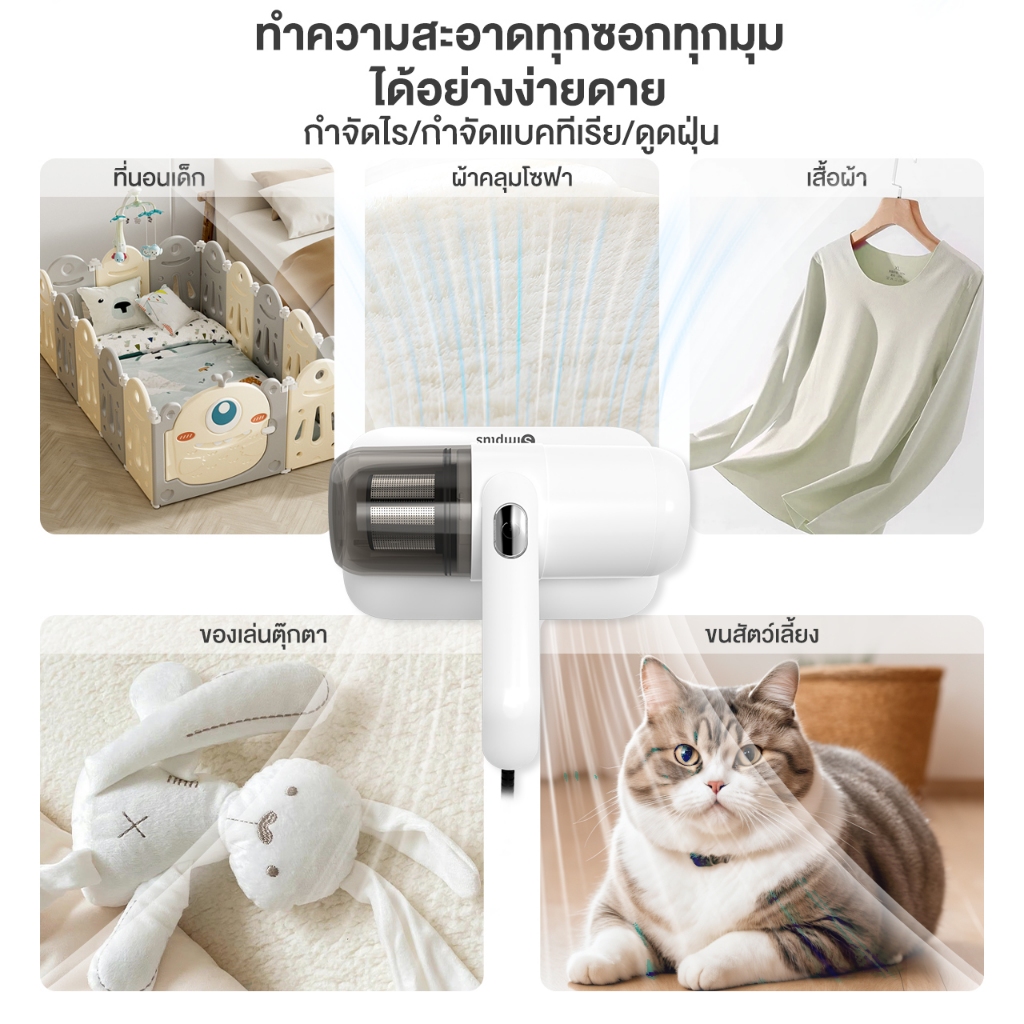 🏠 ไรฝุ่น ศัตรูตัวจิ๋วที่ซ่อนอยู่ในบ้านมากกว่าที่คุณคิด