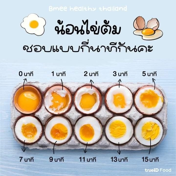 🥚 วิธีการต้มไข่ ให้อร่อยพอดีแบบที่คุณต้องการ