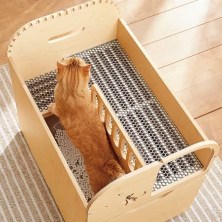 ห้องน้ำแมว: เรื่องเล็กที่จริง ๆ แล้วสำคัญไม่แพ้เรื่องใหญ่