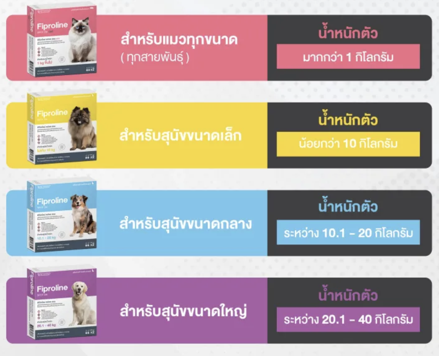 เวลา วิธี และข้อควรระวังในการถ่ายพยาธิแมว ครบจบในที่เดียว! คู่มือการถ่ายพยาธิในสัตว์เลี้ยง