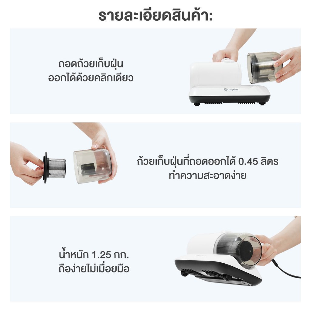 🏠 ไรฝุ่น ศัตรูตัวจิ๋วที่ซ่อนอยู่ในบ้านมากกว่าที่คุณคิด