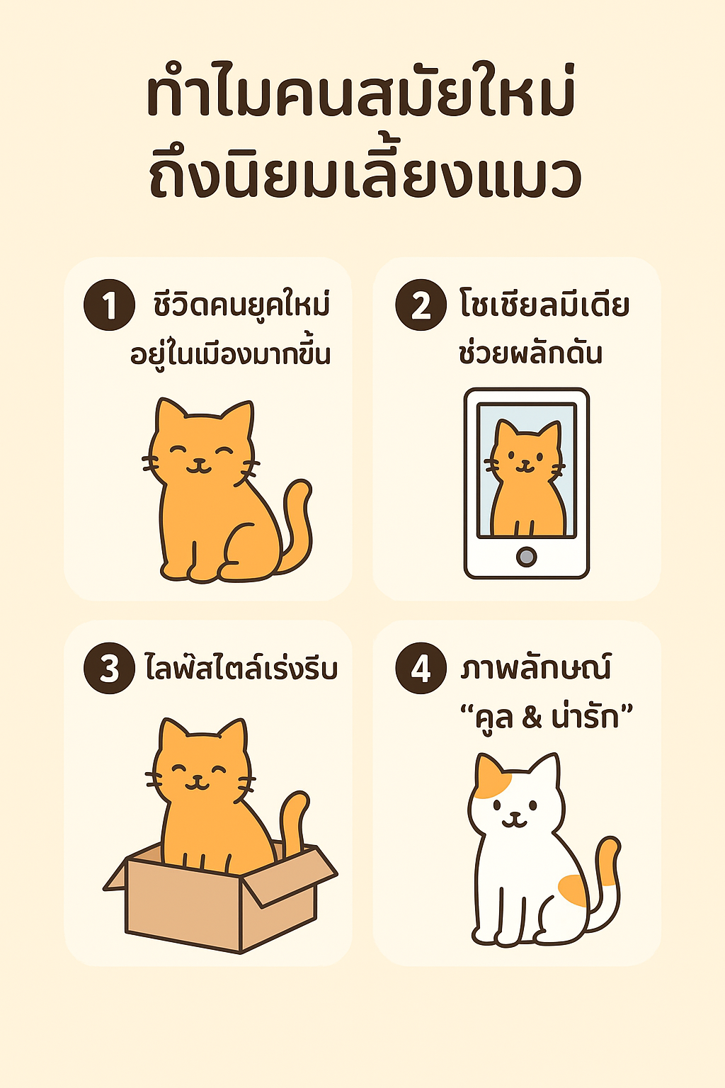 ทาสแมวมือใหม่ต้องรู้! เคล็ดลับเตรียมตัวก่อนรับเจ้าเหมียวเข้าบ้าน