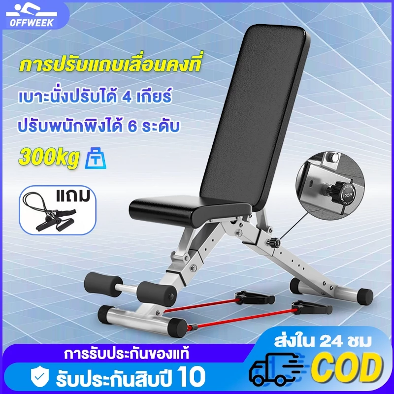 ม้านั่งดัมเบล Bench Fitness เก้าอี้เวท: อาวุธลับของคนจริงสายเวทที่อยากอัปเกมการซ้อมให้ถึงระดับโปร