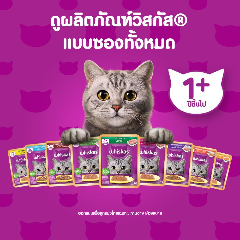 คัดมาแล้ว! 10 อาหารแมวสุดปัง สุขภาพดี ขนเงา ไม่เค็มเกิน บำรุงครบทุกสูตร