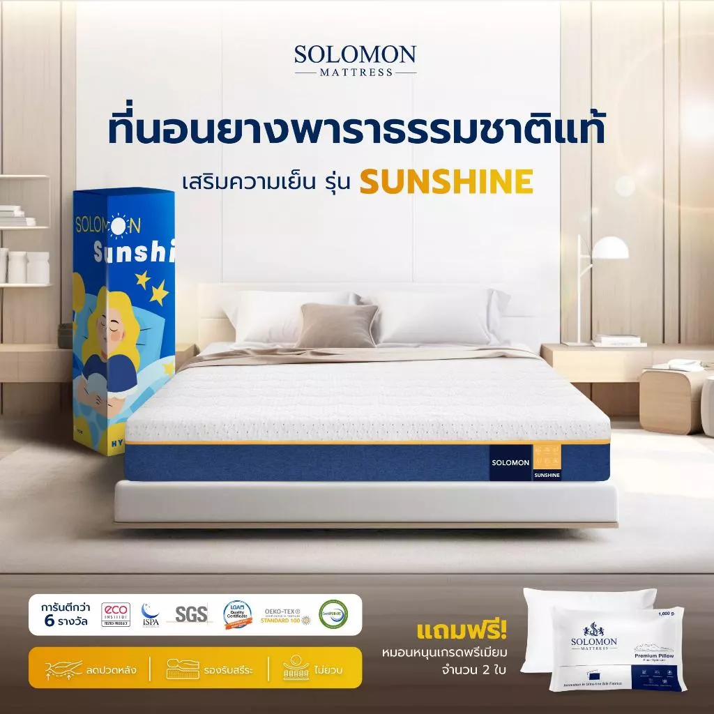 ที่นอนยางพารา SOLOMON เลือกอย่างไรให้เหมาะกับสไตล์การนอน และช่วยลดอาการปวดหลังได้จริง