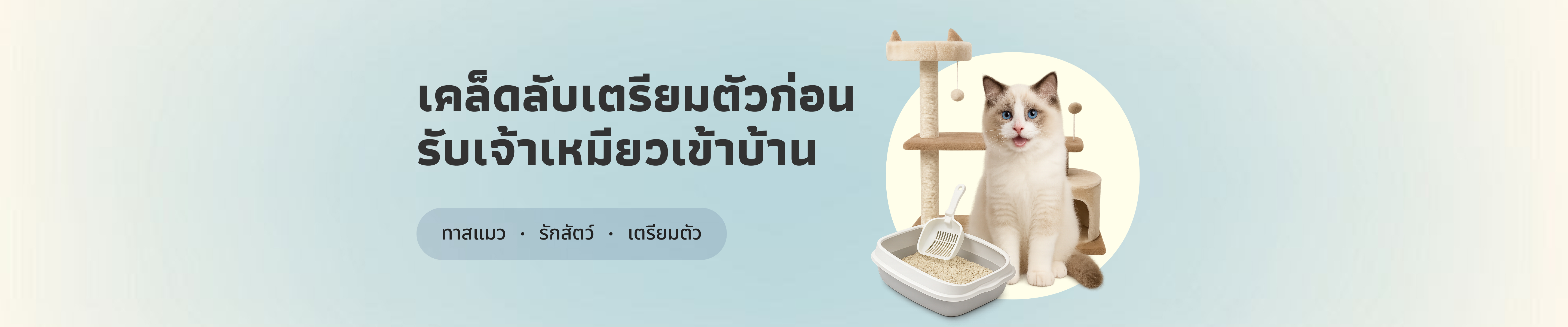ทาสแมวมือใหม่ต้องรู้! เคล็ดลับเตรียมตัวก่อนรับเจ้าเหมียวเข้าบ้าน
