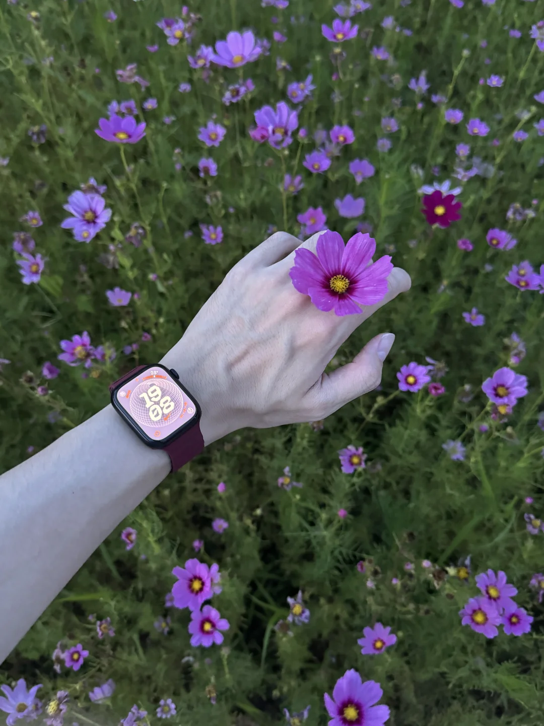 🌸นาฬิกาในทุ่งดอกไม้สีม่วง⌚️