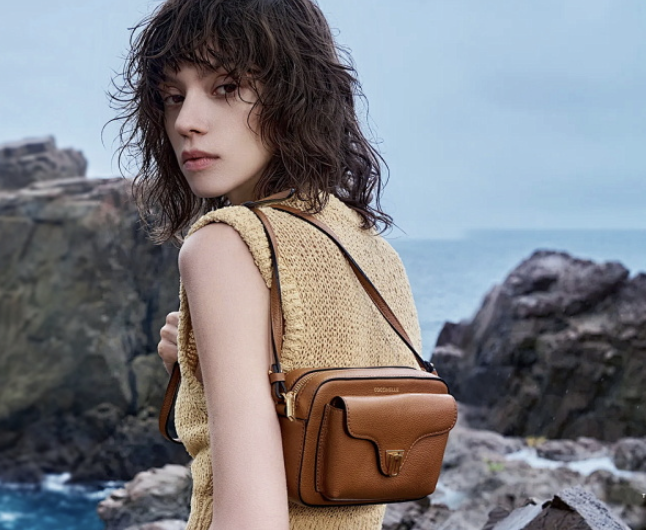 2025 Must-Have! วิเคราะห์กระเป๋า Celine ยอดนิยม 10 อันดับ สาวกแฟชั่นต้องสะสม!