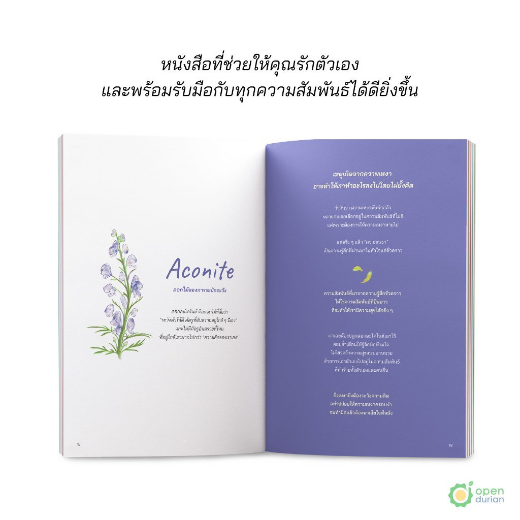 🌸 รีวิวหนังสือ “วันไหนที่ใจแข็งแรง ดอกไม้จะผลิบาน (THE ENCHANTED GARDEN)”