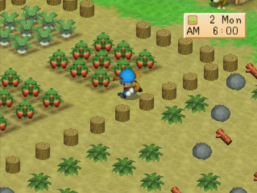 🧑🌾 5 เกมปลูกผักที่สายทำฟาร์มห้ามพลาด! 🌱