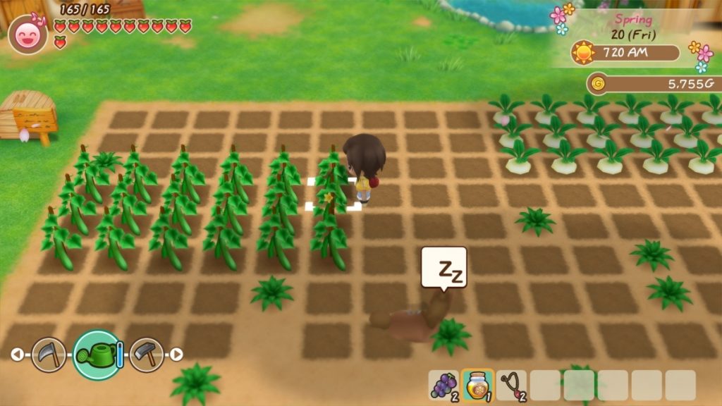 🧑🌾 5 เกมปลูกผักที่สายทำฟาร์มห้ามพลาด! 🌱