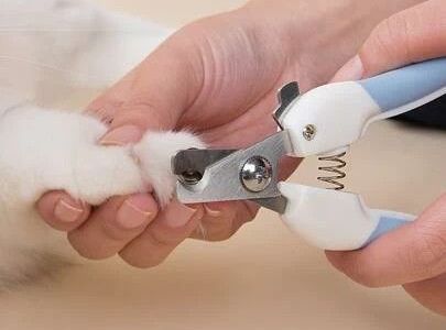 เครื่องตัดเล็บสัตว์เลี้ยง ไอเท็มเล็กๆ ที่ช่วยดูแลสุขภาพน้องหมาน้องแมวได้มากกว่าที่คิด