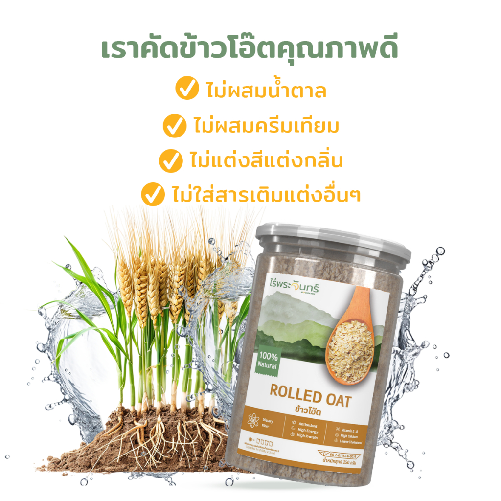 ข้าวโอ๊ตรีดแบน คืออะไร ทำไมคนรักสุขภาพถึงหลงรัก?
