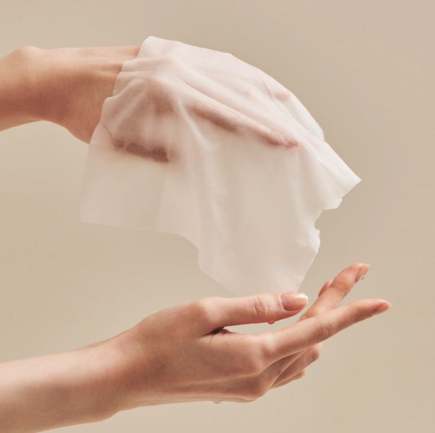 คู่มือ:ทิชชู่เปียก ต้องเลือกอย่างไร?