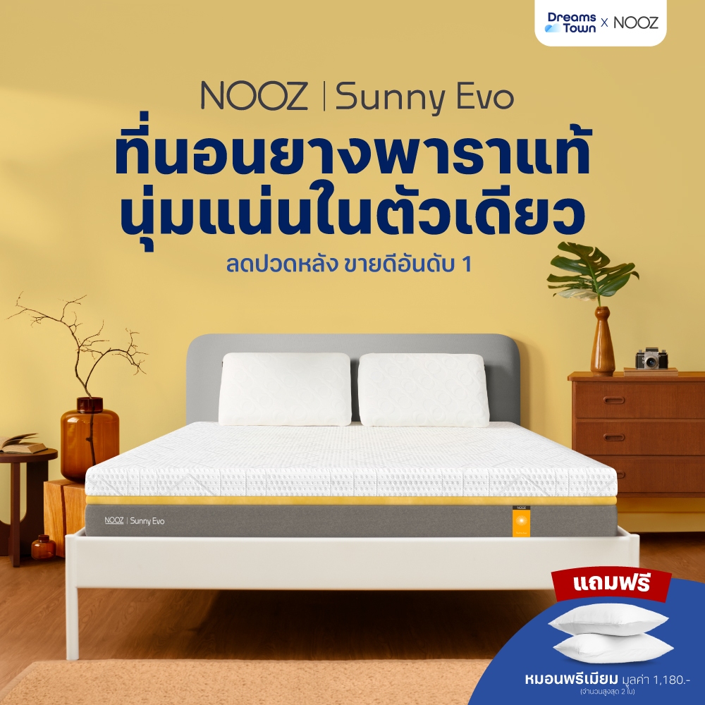 ที่นอน Dream Town: เลือกยังไงก็นอนสบาย