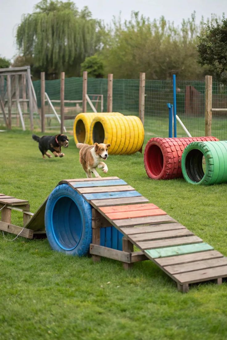 🐶 7 พฤติกรรมที่ทำให้สุนัขอายุสั้นลง แบบที่เจ้าของอาจไม่รู้ตัว!