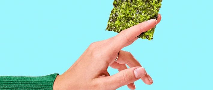 ประวัติของสาหร่ายอบ ทำไมถึงเป็นที่นิยมถึงปัจจุบัน? จากอาหารพื้นบ้านสู่ของว่างระดับโลก