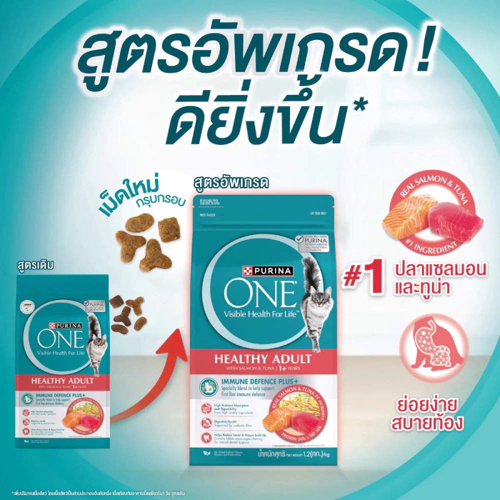 อาหารแมว แนะนำ สำหรับทาสมือใหม่