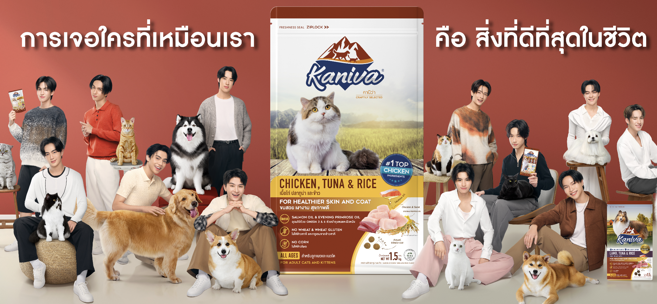 คัดมาแล้ว! 10 อาหารแมวสุดปัง สุขภาพดี ขนเงา ไม่เค็มเกิน บำรุงครบทุกสูตร