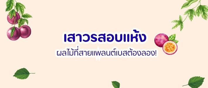 สายวีแกนต้องรู้! เสาวรสอบแห้ง ของว่างชิ้นเล็กที่อัปเกรดสุขภาพได้ทั้งวัน