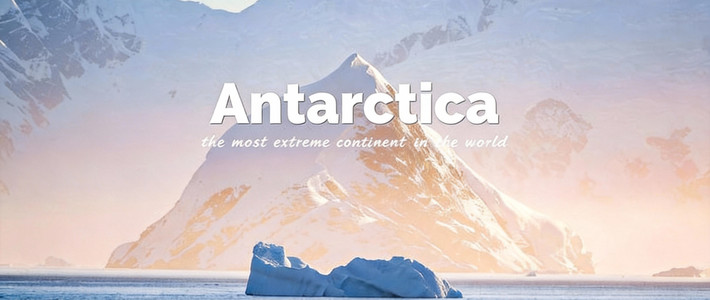 ล่องเรือสู่แอนตาร์กติกา 10 วัน: เพนกวิน วาฬหลังค่อม และดินแดนน้ำแข็งในฝัน