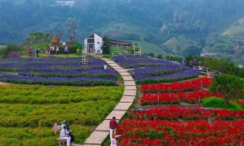 3 วัน 2 คืนเชียงดาว–อ่างขาง แบบคุ้มทุกบาท เหมาะสายเที่ยวประหยัด