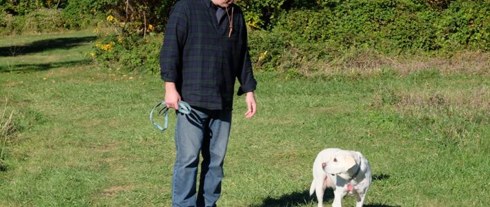 เตือนสายเที่ยวกับหมาแมว: แดดแรงแบบนี้…ผิวสัตว์เลี้ยงคุณรอดไหม?