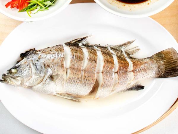 เขาว่ากันว่ากินปลาแล้วจะฉลาด