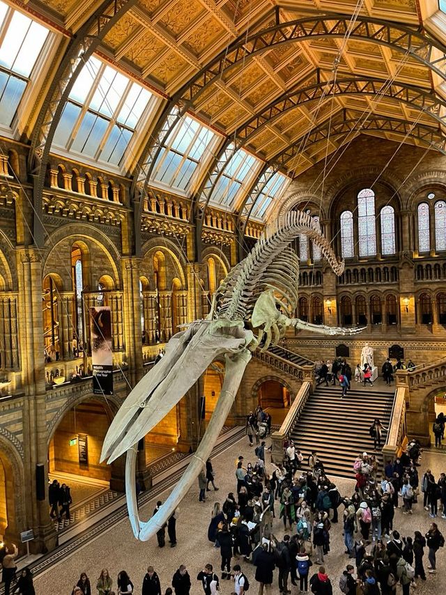 พิพิธภัณฑ์ พื้นที่ที่ทำให้คนทุกวัยตกหลุมรักการเรียนรู้